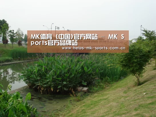 案例展示四(图1)