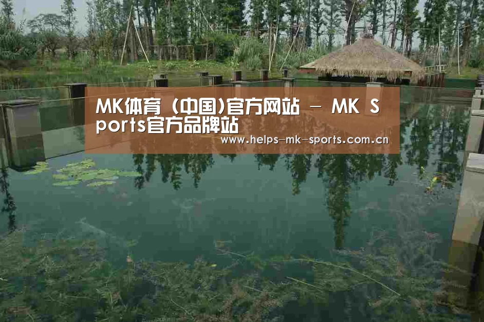 案例展示二(图1)