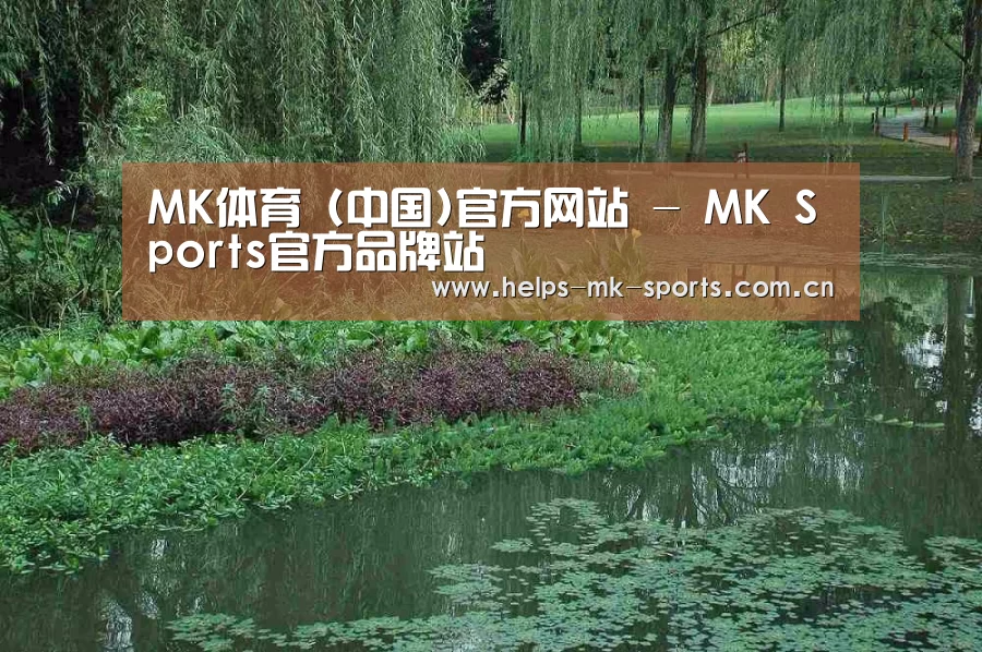 案例展示一