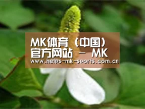 产品名称三