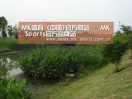 案例展示四