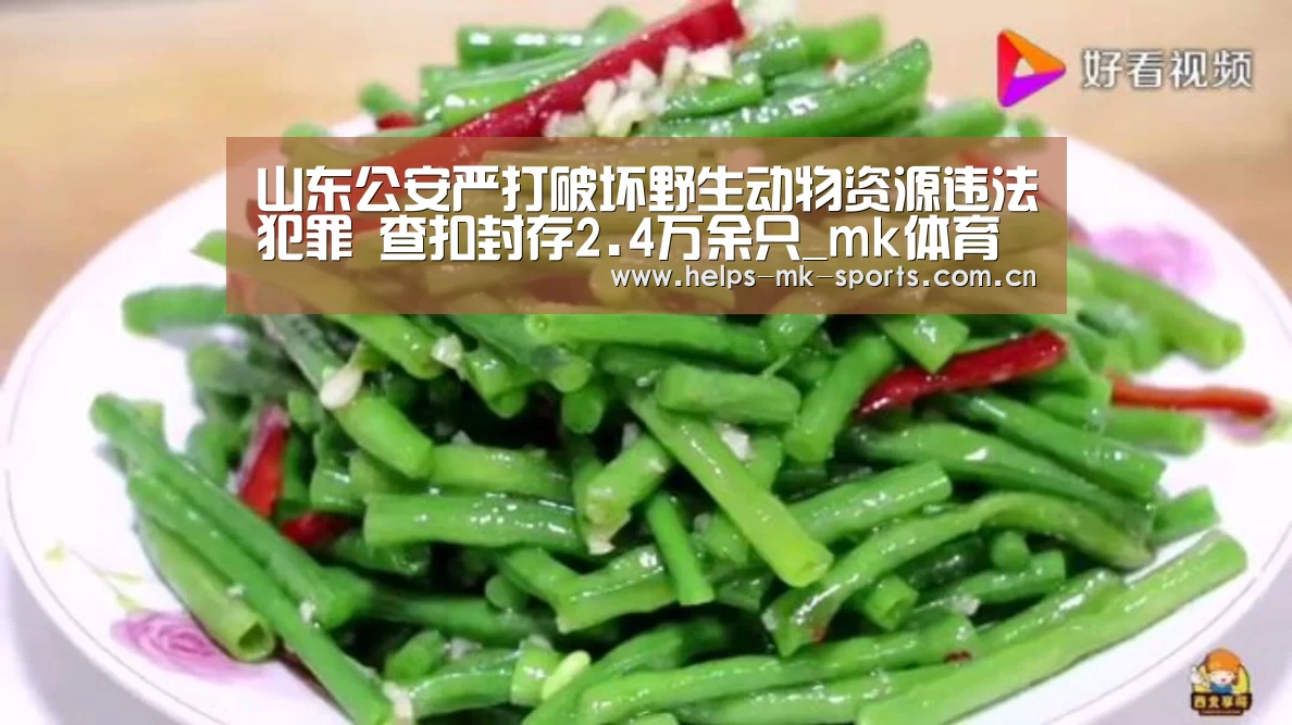 mk体育