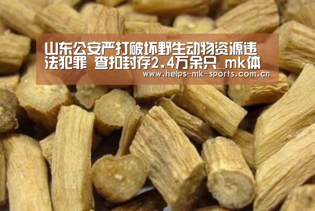 mk体育官方