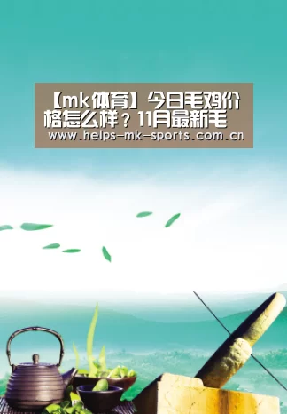 【mk体育】今日毛鸡价格怎么样?11月最新毛鸡行情及趋势分析(图2) mk体育