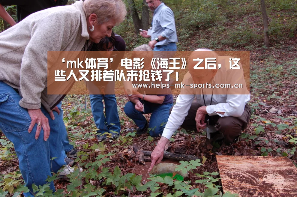 mk体育官方