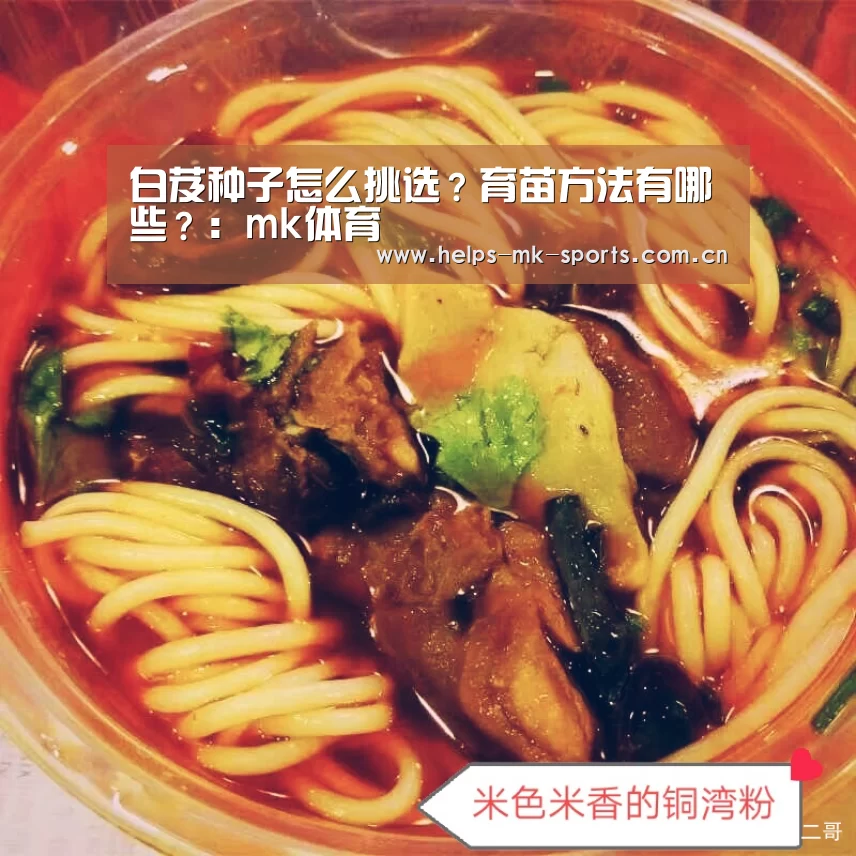 mk体育官方