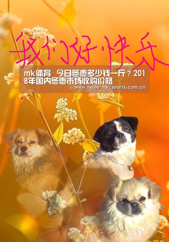 mk体育官方