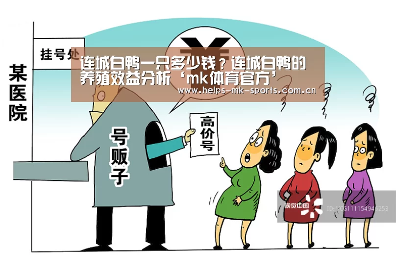 mk体育官方